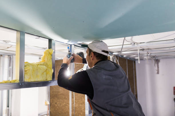 Best Geographic-Specific Insulation Services in Mount Olive, IL