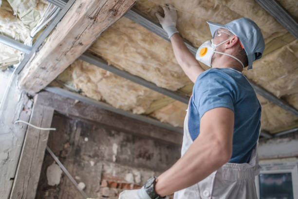 Best Eco-Friendly Insulation in Mount Olive, IL