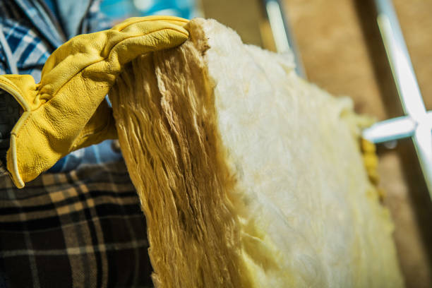 Best Eco-Friendly Insulation in Mount Olive, IL