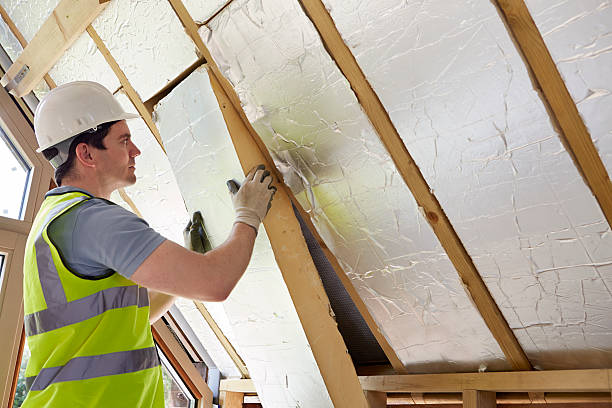 Best Residential Insulation in Mount Olive, IL